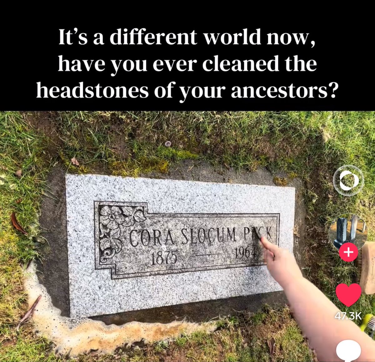 PolyThotPotion's tweet photo. Being an astrologer means seeing these grave cleaners, and desperately needing to know if they have Virgo/Mercury in/aspecting their 8th house, or Scorpio/Pluto in a Mercurial 2nd house, etc 👀 #astrology https://t.co/NvoglWLkTB