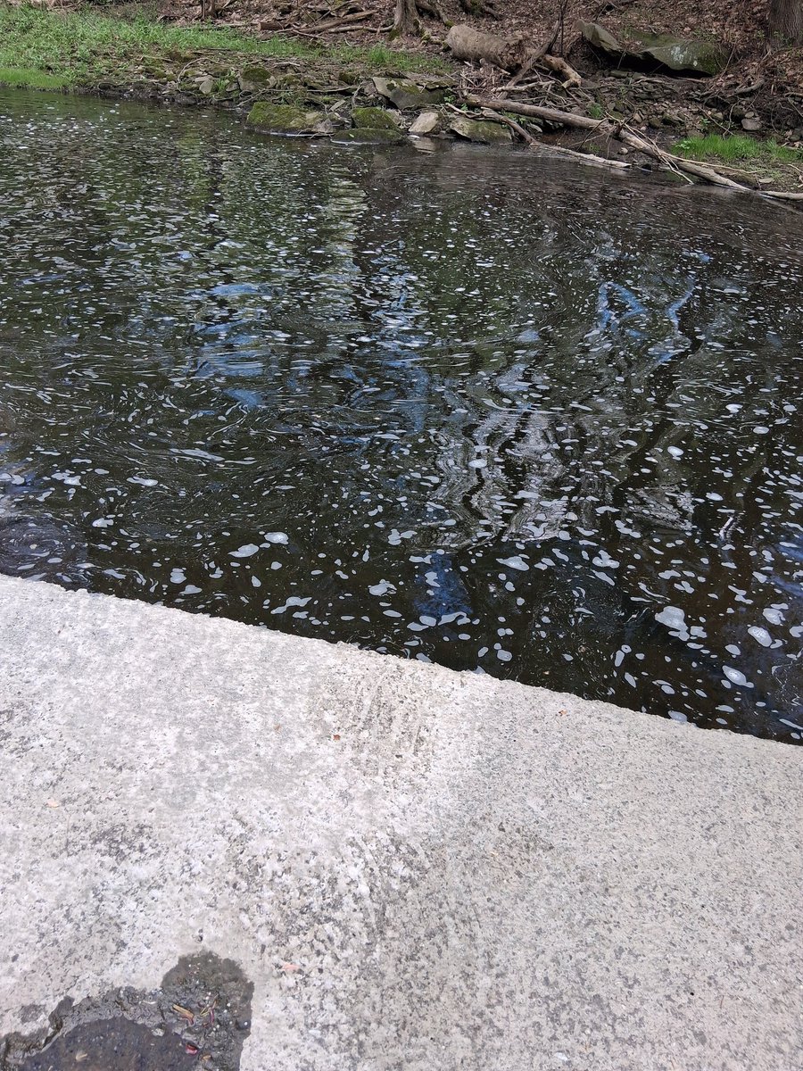 A10 White tweet media