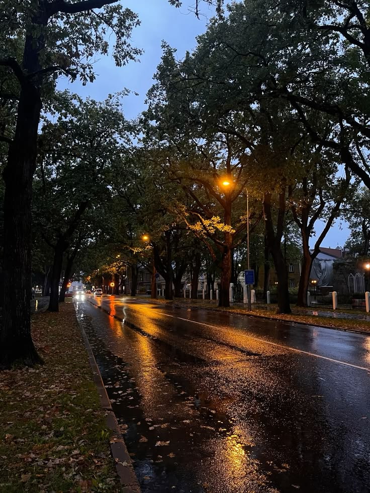 Earth 🍃 tweet media