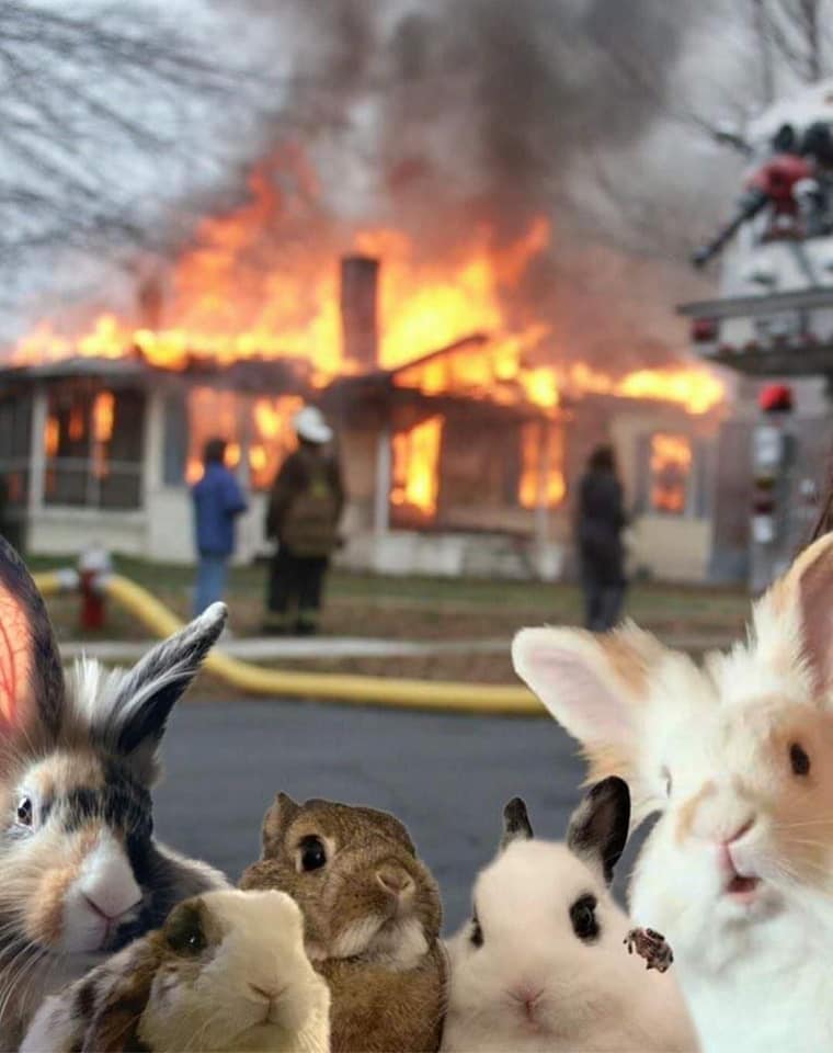 Scrribble tweet media