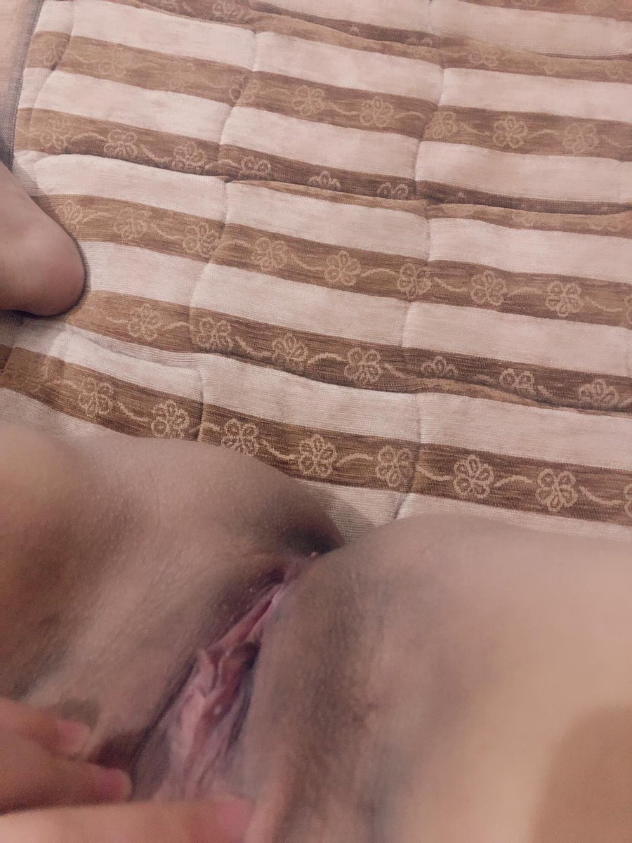 evlicift2024 tweet media