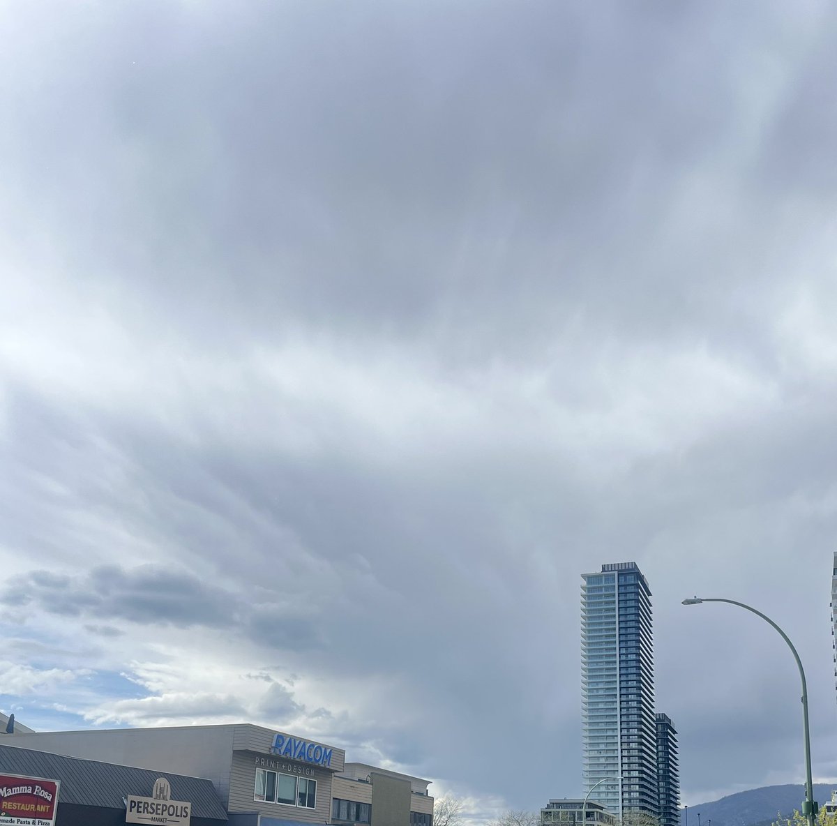 Tracey inKtown 🇨🇦 tweet media