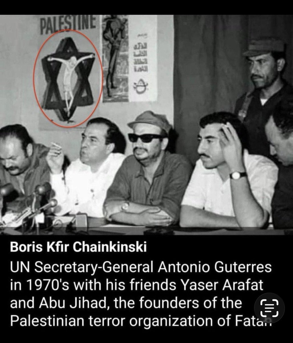 👑Fereshteh Gilaki tweet media