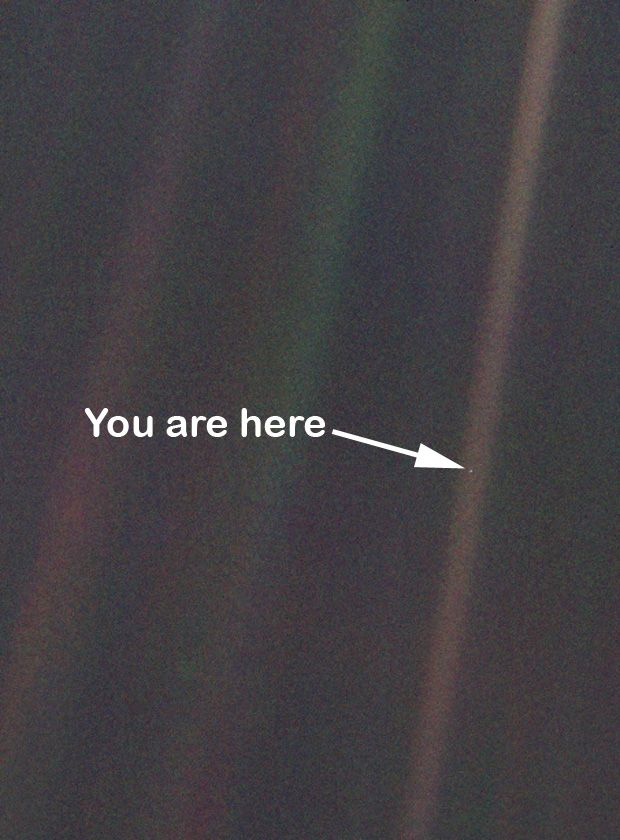 James_Hawke1's tweet image. It doesn't matter how sophisticated your theory and explanations are when they are based on a stupid starting idea. 

This is today's lesson.
#earthlings
