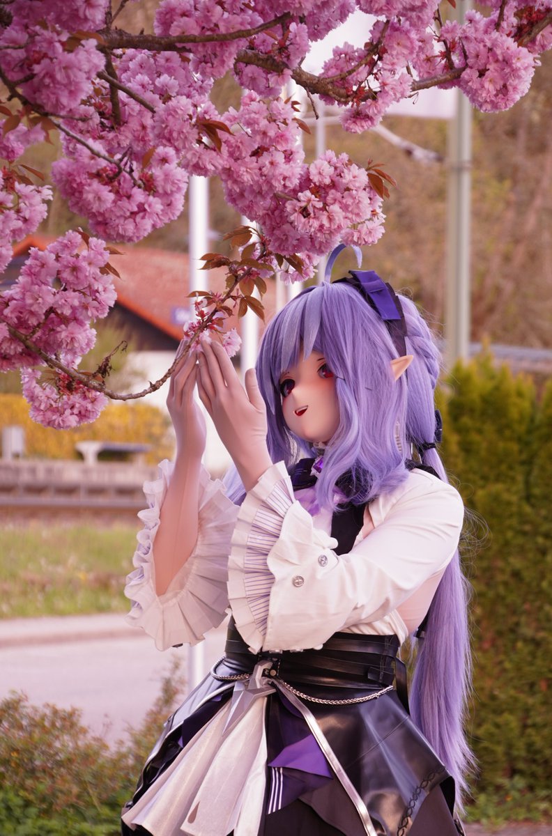 Serenity➡️Dokomi2026 tweet media