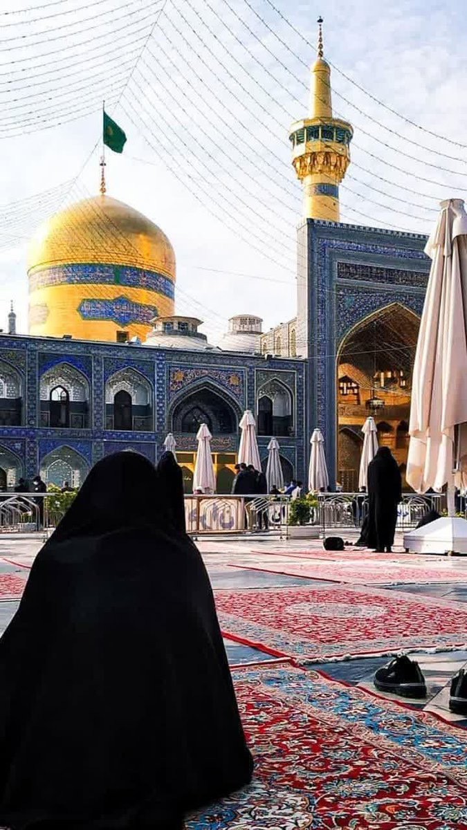 امیر محمد سالاری tweet media
