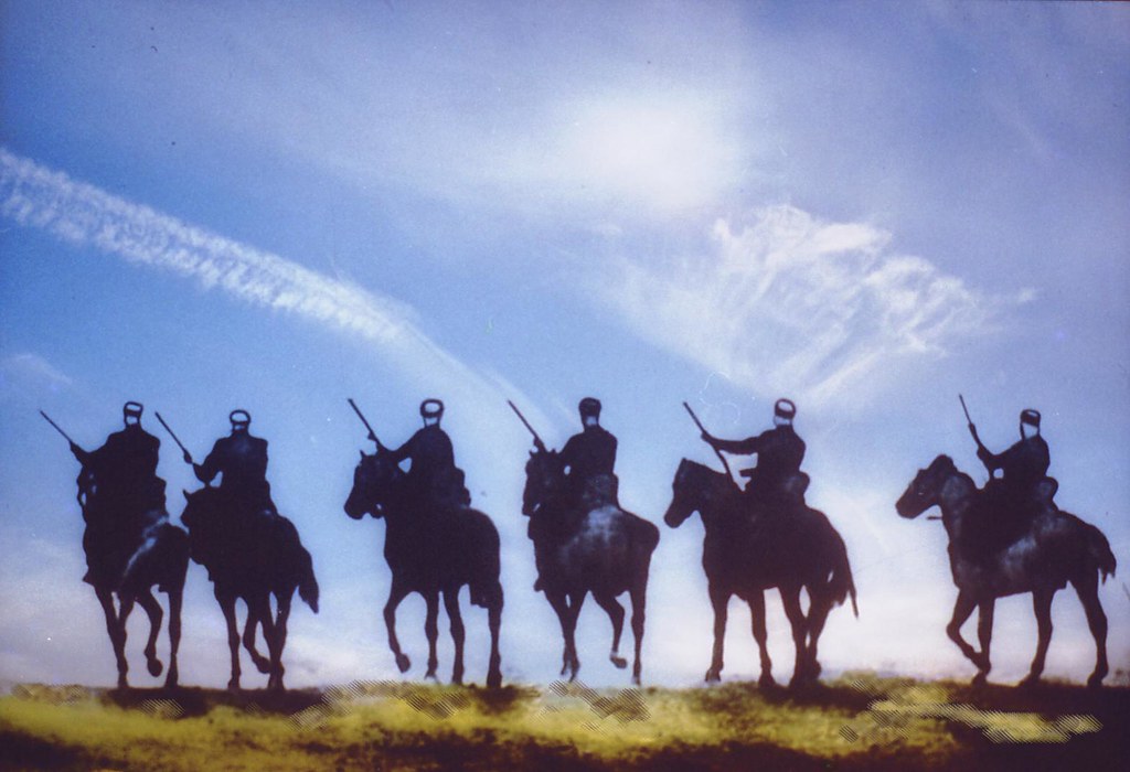 Algerian Visuals 🇩🇿 tweet media