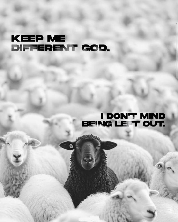 ChampionMindset tweet media