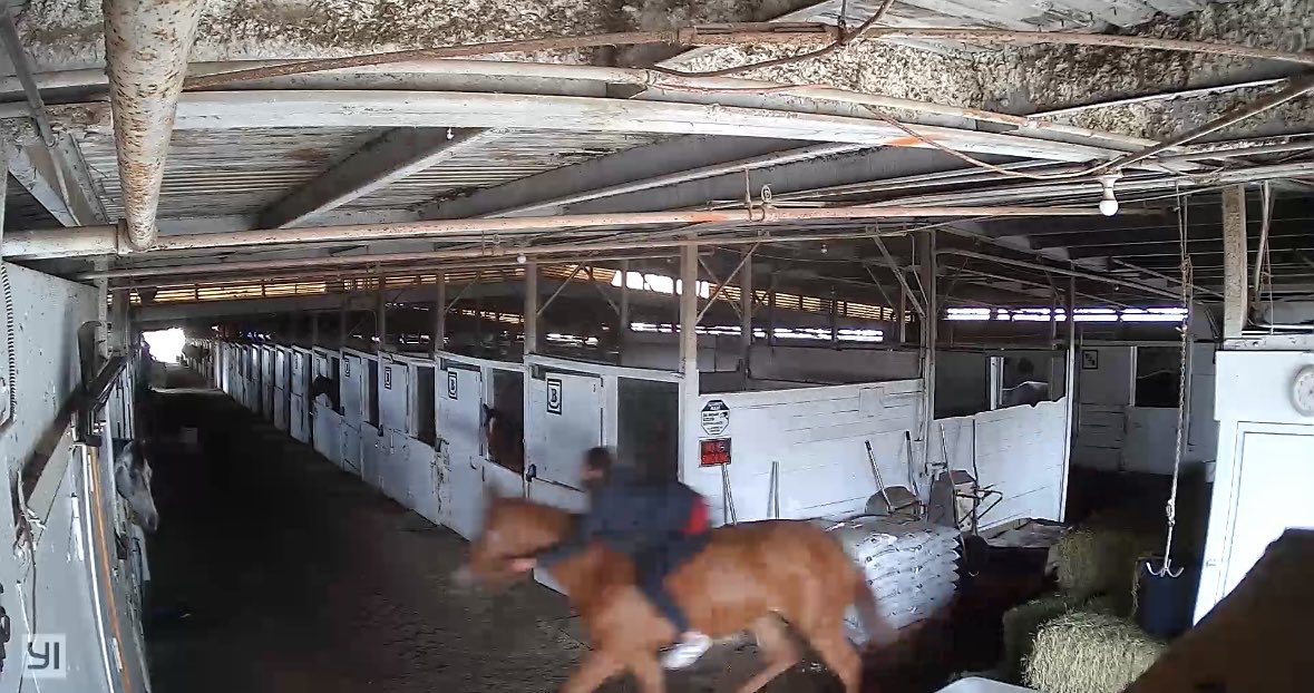 Devon O'Donnell tweet media