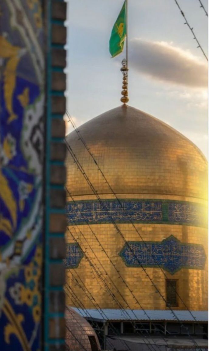 امیر محمد سالاری tweet media