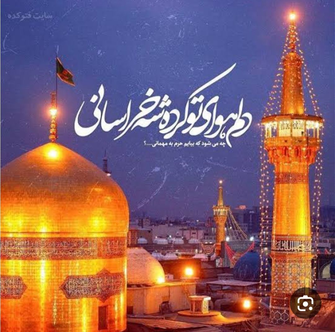 امیر محمد سالاری tweet media