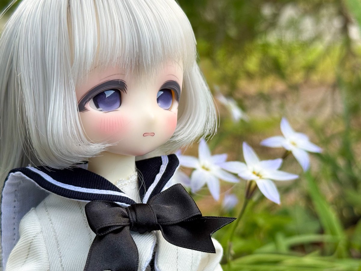 ロバしん tweet media