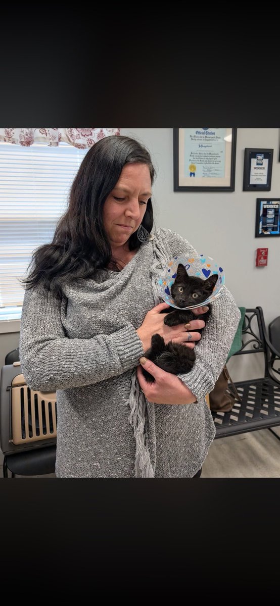 foreverpaws's tweet photo. Double adoption!!!
Brie and Colby Jack found their forever home together! π
#animalshelter #animalshelters #fpas #rescuelife #sheltercats #rescuecats #sheltercat #rescuecat #animalrescue #rescue #foreverpawsfamily #community #adopt #familypetsaresuperheros #CatsOfInsta https://t.co/v1AcH9Q01q