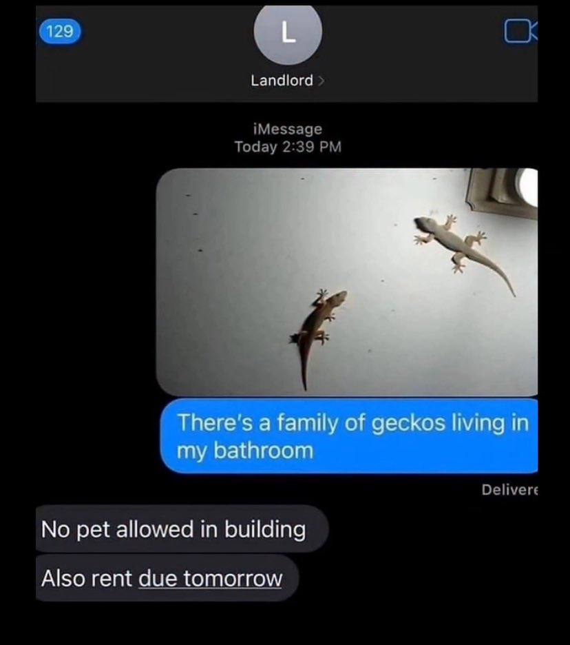 Follyyyy tweet media