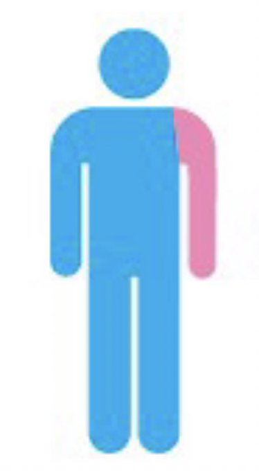 millán 👑 tweet media