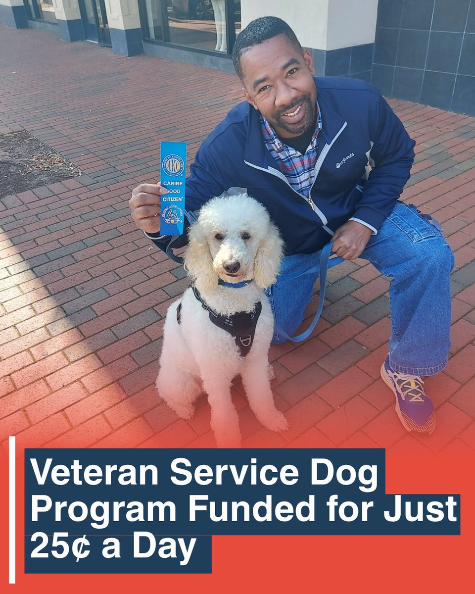 Train A Dog Save a Warrior tweet media