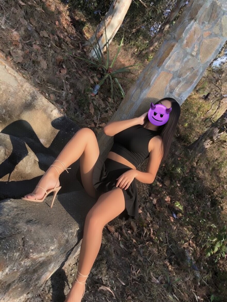 Fogoso GT tweet media