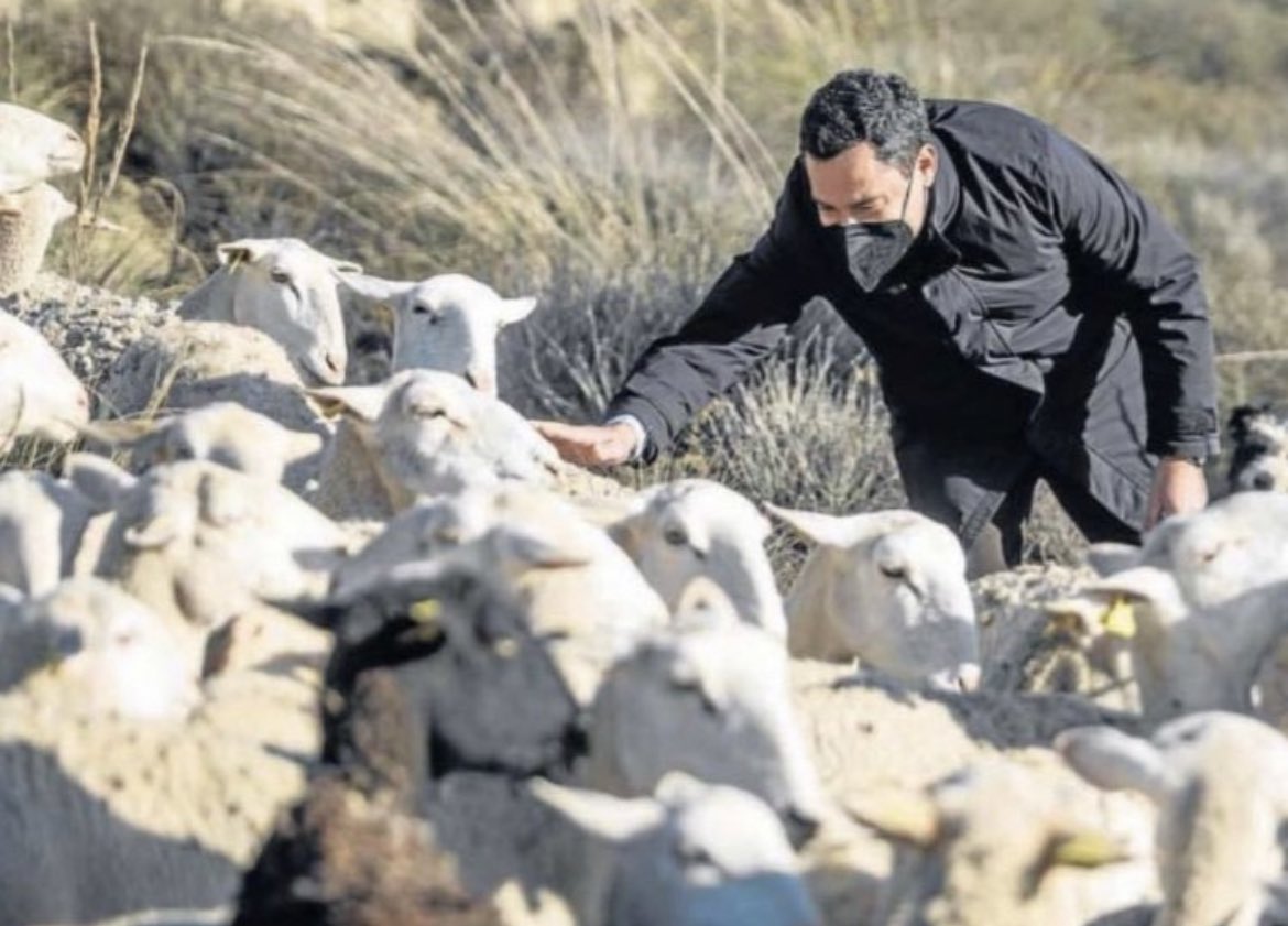 MIA PEREZ 🌹🌹🇪🇦🌹🌹 tweet media