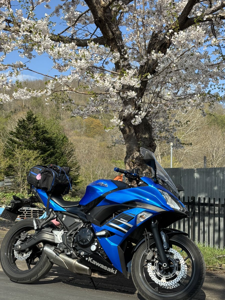 桜ママ tweet media