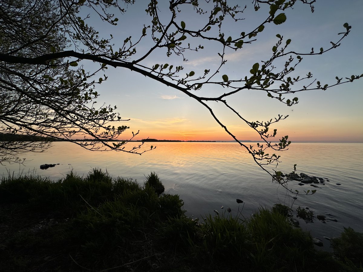 Sharon Welby📷 tweet media