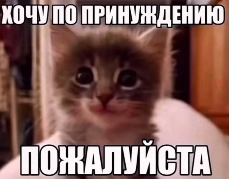 гусь tweet media
