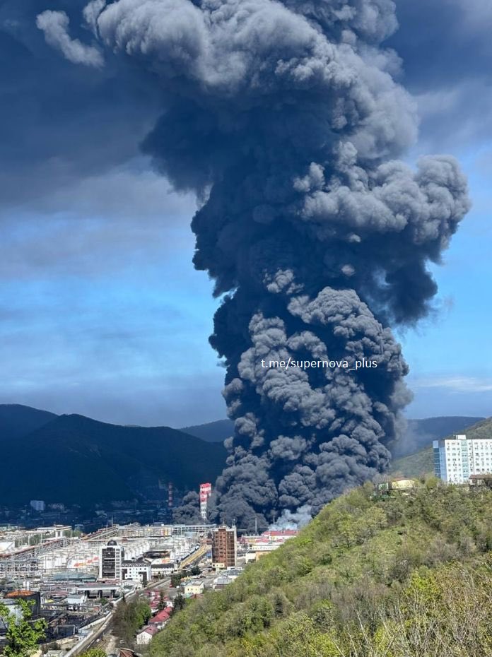 Hektor ✙ tweet media