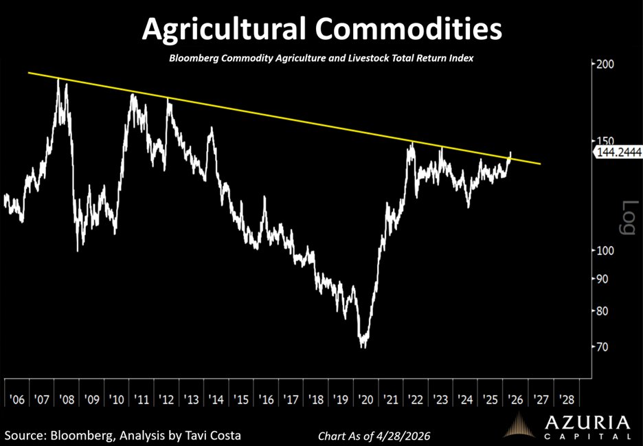 Otavio (Tavi) Costa tweet media