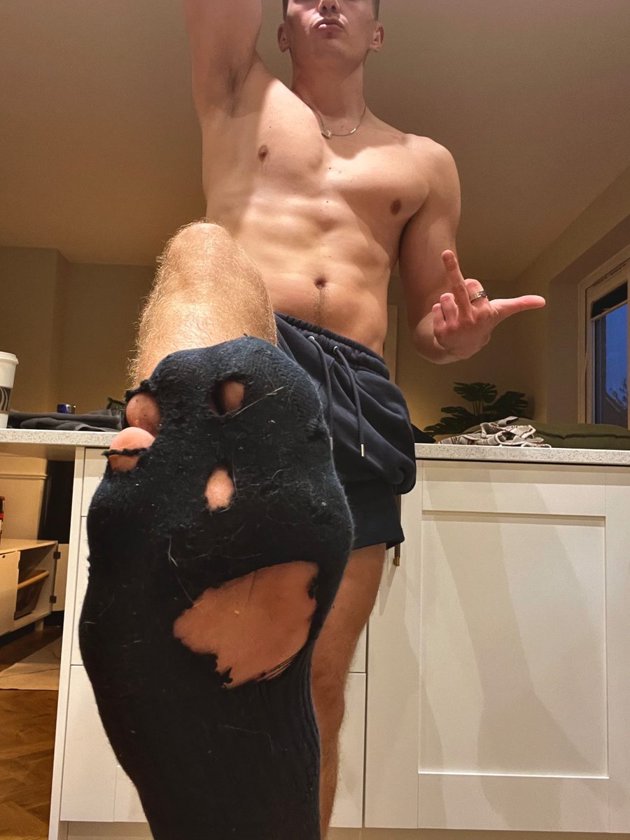 Alpha Alex 🐺 tweet media