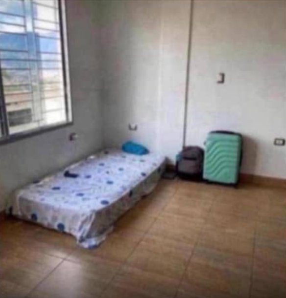 NSNV🕷 tweet media