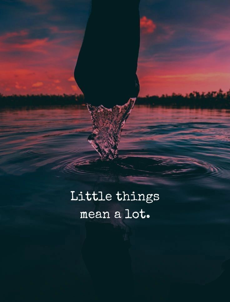 A_MasterMassage's tweet photo. 💙Quote of the Day💙

"Little things mean a lot."

#Quote #QuoteOfTheDay #LittleThings #SmallActions #SmallGestures #SmallWins #SmallVictories #BelieveInYourself #Positivity #YouCanDoIt #NeverGiveUp #Mindset #Motivation #Inspiration https://t.co/eDxWLhBuwm