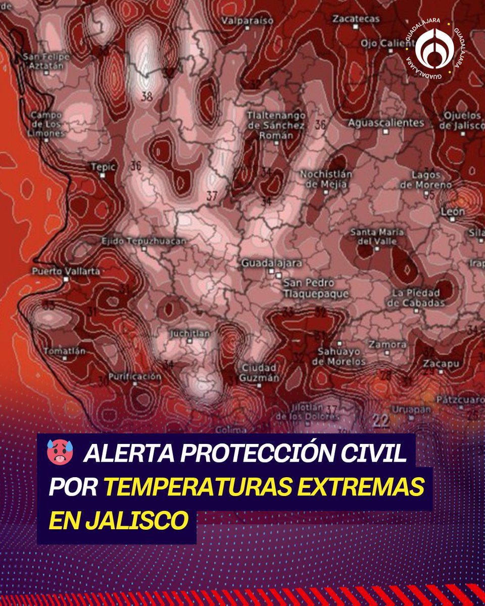 Fórmula Jalisco tweet media