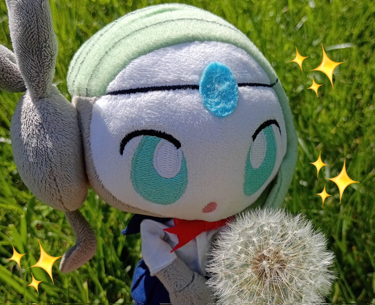 ★Pako★ 🎂 May 22nd tweet media