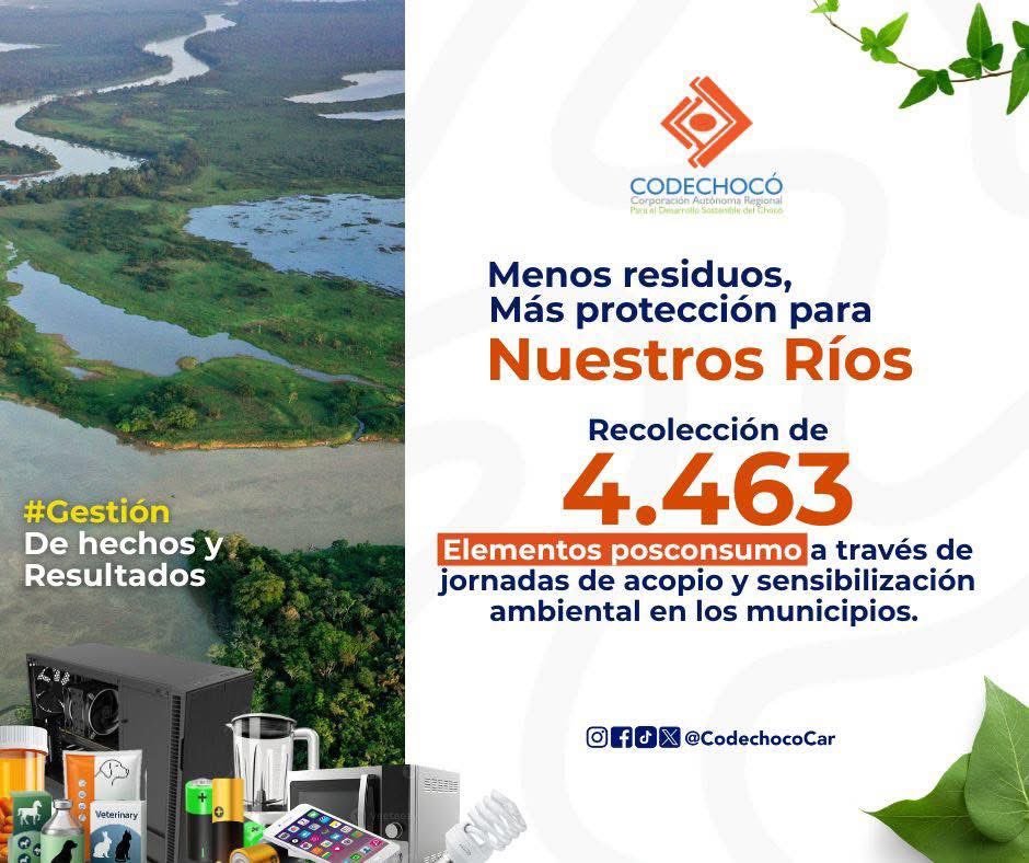 CODECHOCÓ tweet media