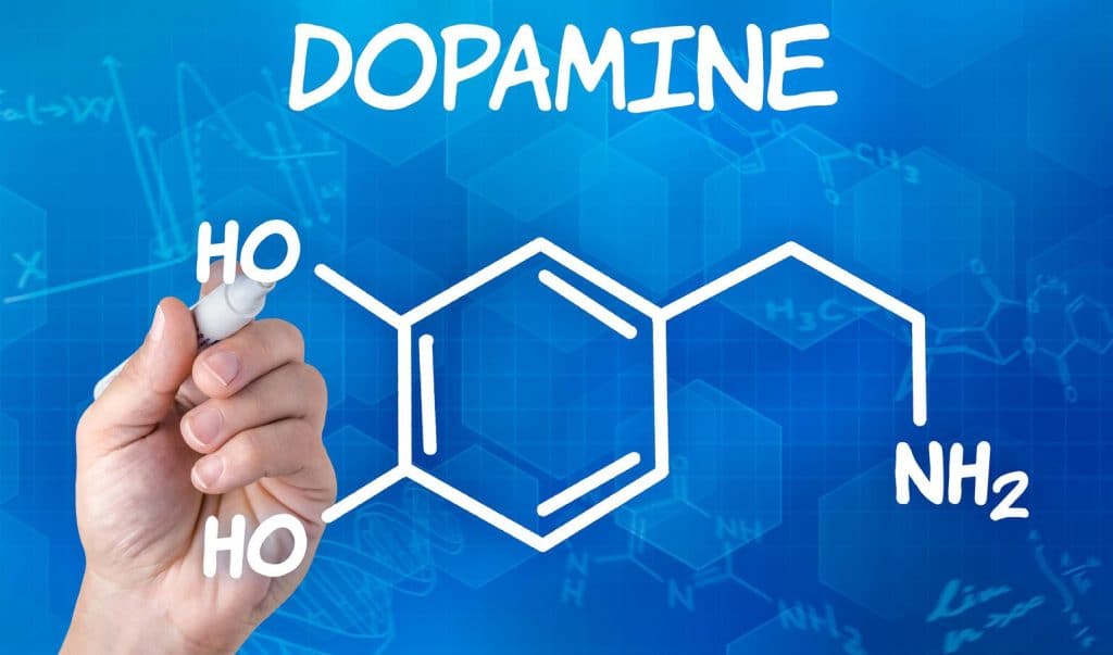 MitchLevinson3's tweet image. Why You Need to Know About Dopamine and Autism 
autismparentingmagazine.com/dopamine-and-a… #SpecialNeeds