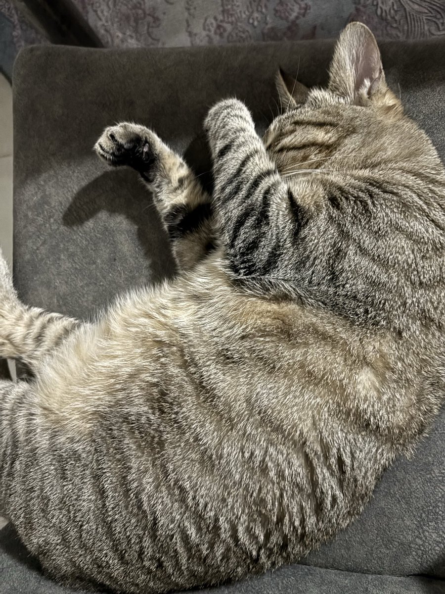 Gece 3-4 gibi kudurullez var güç topluyor danam