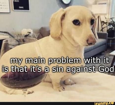 🇻🇦McGeez ➡️ Chicago tweet media