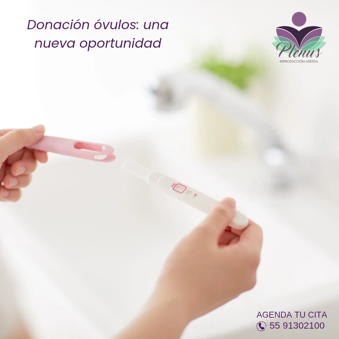 PlenusRepAs's tweet photo. ✨️Óvulos de donante saludable para mujeres con reserva ovárica baja, ampliando posibilidades de formar familia.
.
.
.
#DonacionOvulos #Fertilidad #ReproduccionAsistida #Familia #SaludReproductiva https://t.co/zQV6IjtsVN