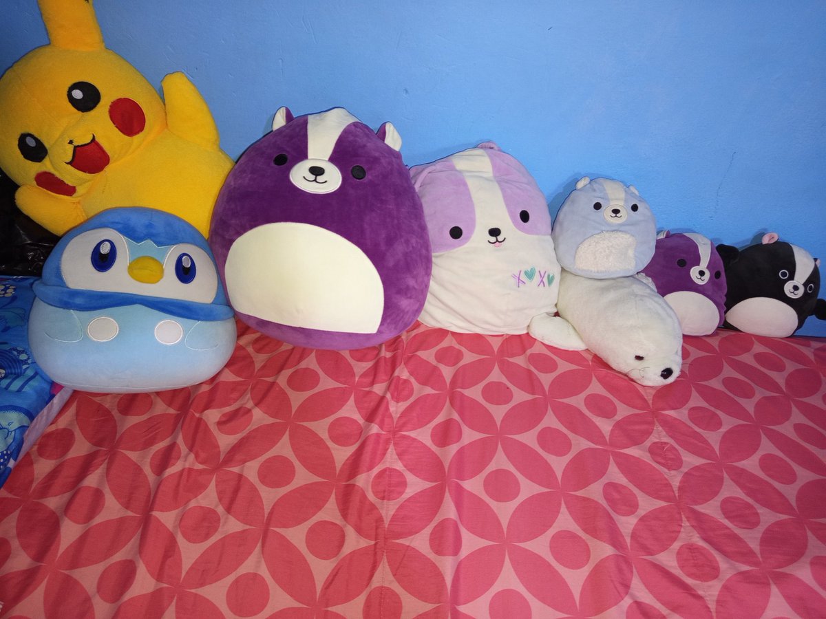 SilverIceSkunk's tweet image. (118/230) 🦨 🧸 
Just some of my (absurdly) big amount of plushies I have 
#skunk #skunks #skunkfurry #skunkart #furry #art #furryart