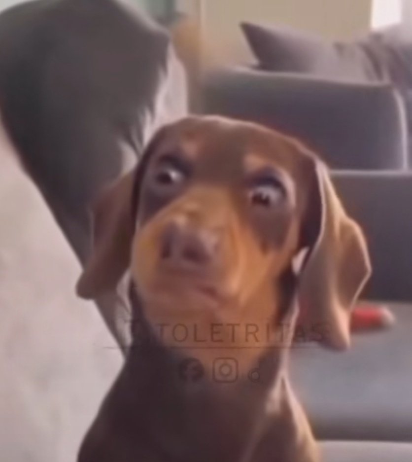 Melissa😏 tweet media