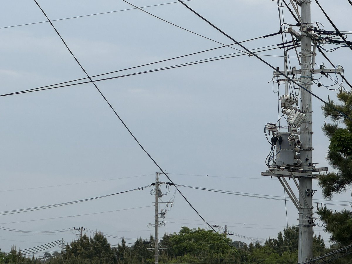 grass(ぐらす)@new_account tweet media