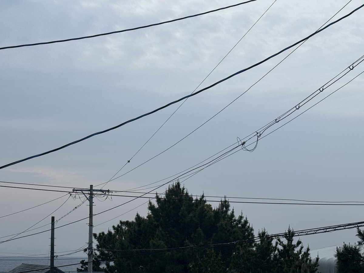 grass(ぐらす)@new_account tweet media