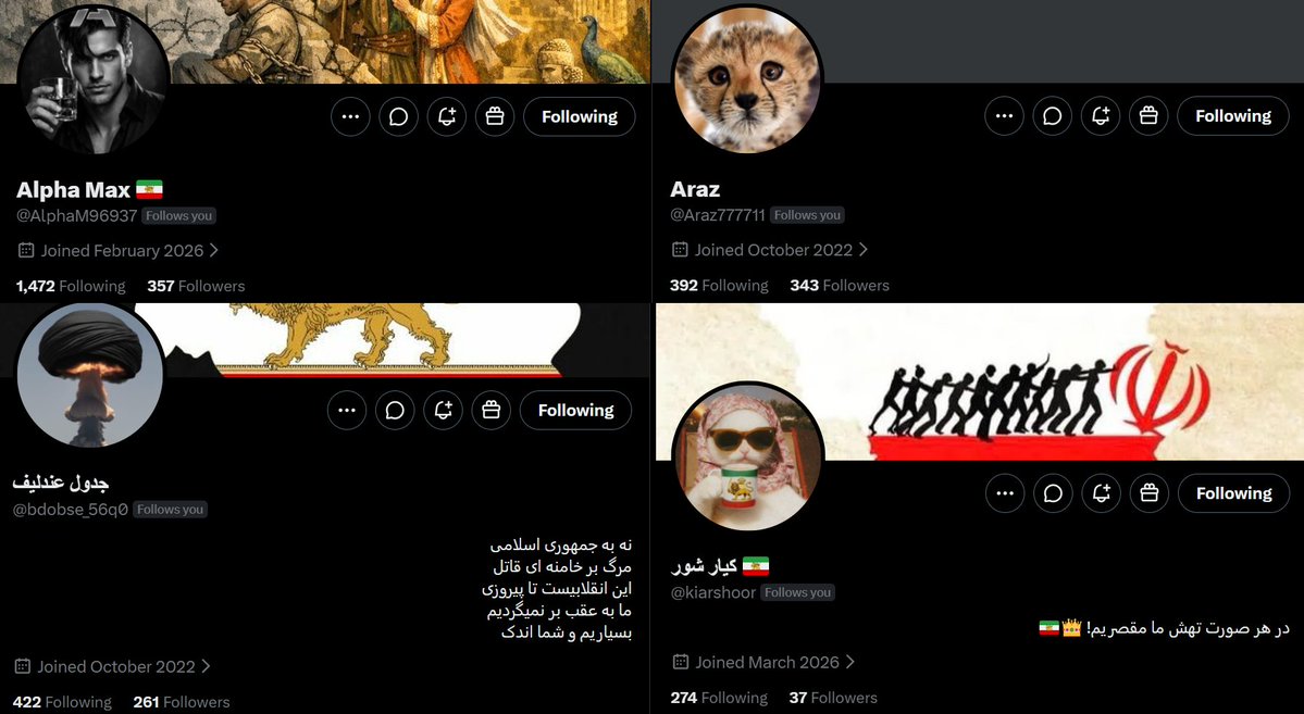 👑 آستین کوتاه tweet media