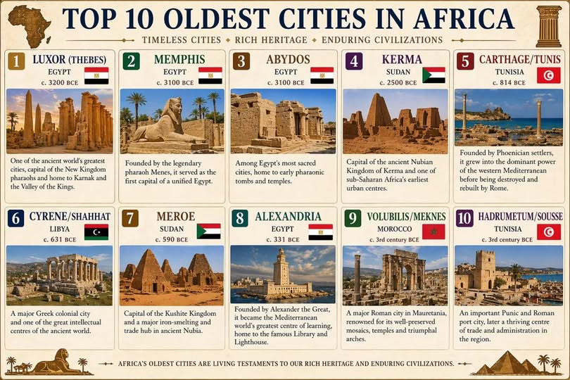 ʜᴀɴᴀɴ ʀᴇᴅᴀ tweet media