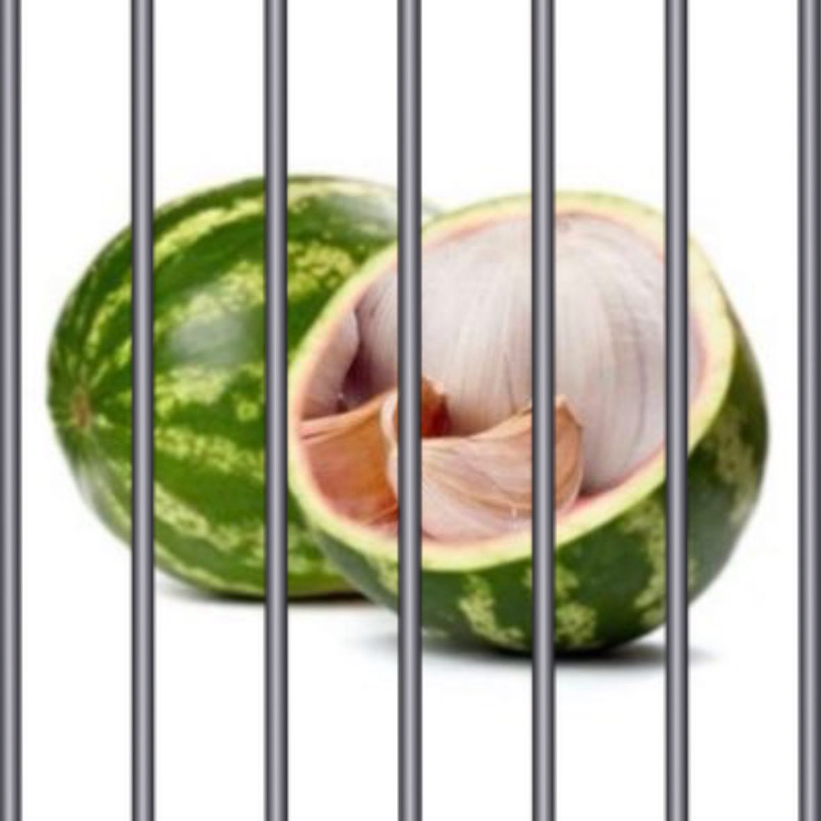 piecejail's tweet photo. Inmate #117

Defendant: @s0c1al_p4th 
Date of Sentencing : 
04/28/2026

Sentence:  24 HOURS in P1ece Jail‼️

Note : 
BOW BOW BOW !! 

that’s the sound of the jail bars slamming closed, serve your sentence. https://t.co/AMXrzekGAS