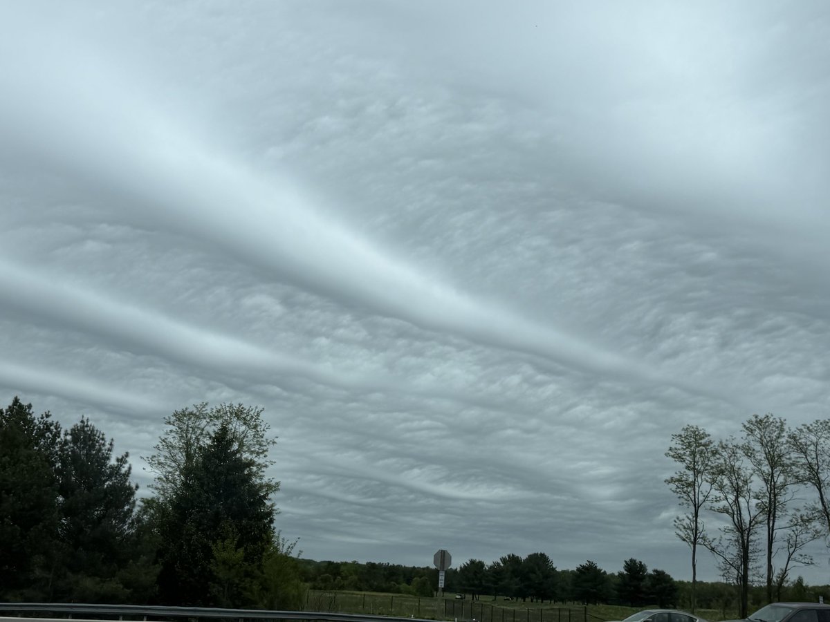 Joey Krastel tweet media