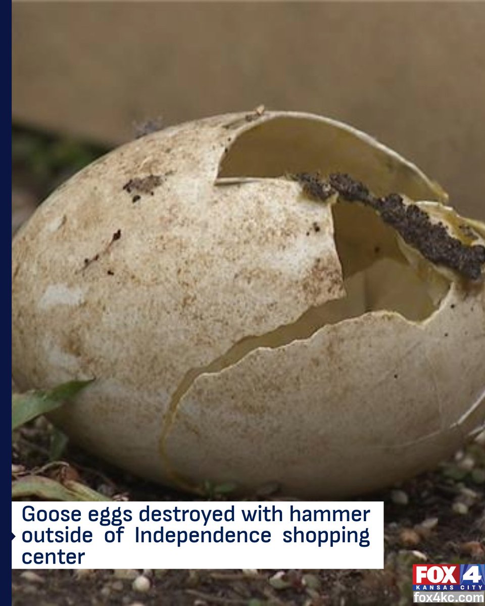 FOX4 News Kansas City tweet media