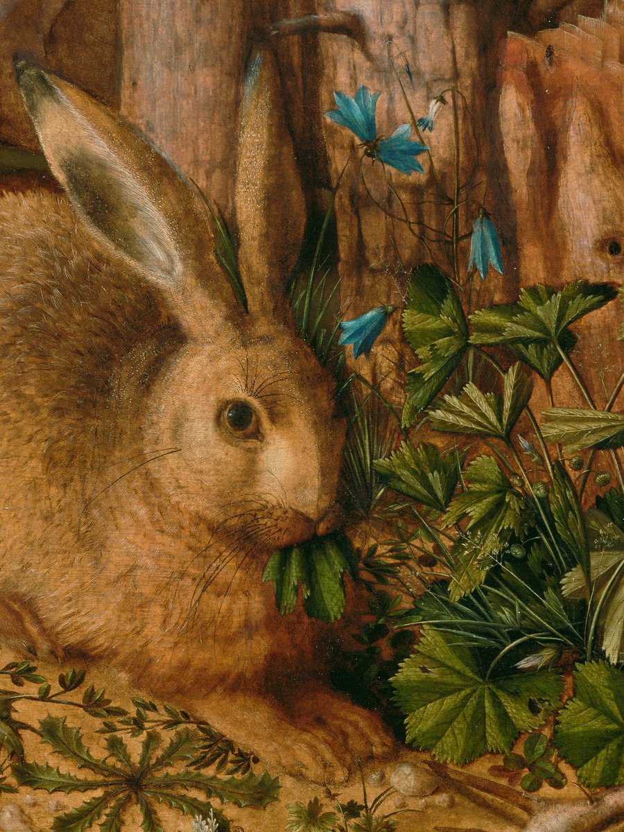 GettyMuseum's tweet photo. Take a moment to explore these natural details in all their glory. 🌱🐇🐌 https://t.co/w36oUJ5Nx0