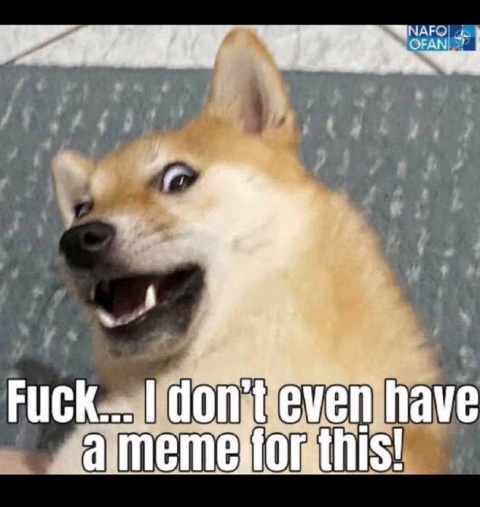 Monika👊🇺🇦🇩🇪🇪🇺Слава Україні!🔱 tweet media