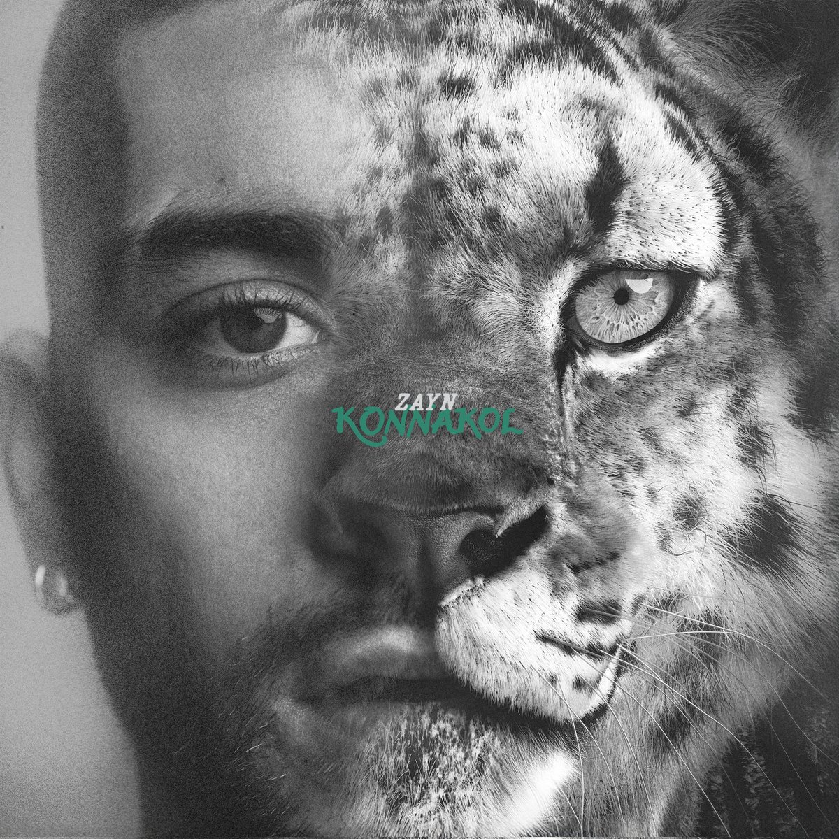 ZAYN Charts Data tweet media
