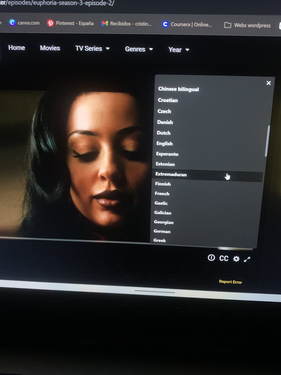 Estoy viendo Euphoria en una página pirata y cuando he ido a cambiar el idioma de los subtítulos…. COMO QUE EXTREMADURAN estoy llorando